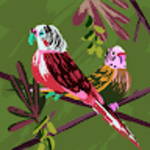 Meet your Posher, Modesta